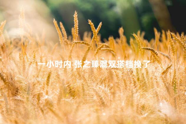 一小时内 张之臻混双搭档换了